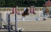 Top ponette PFS 6 ans