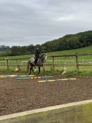 Kimba - Demi - pension  15min de Dijon Sud-Est