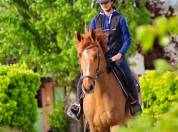 Cheval cso amateur elite