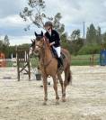 Cheval cso amateur elite