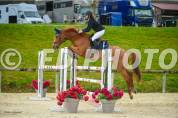 Cheval cso amateur elite