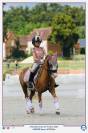 Magnifique ponette Welsh Dressage et CSO 