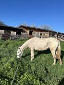 Pension m&eacute;dicalis&eacute;e/convalescence 