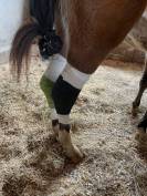 Pension m&eacute;dicalis&eacute;e/convalescence 