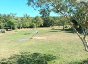 Pension retraite pour petit cheval Ane ou poney chez p