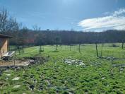 Pension retraite pour petit cheval Ane ou poney chez p