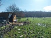 Pension retraite pour petit cheval Ane ou poney chez p