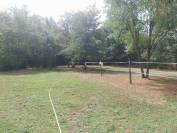 Pension retraite pour petit poney chez particulier 