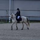Poney de Sport
