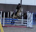 Poney de Sport