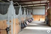 Pensions pr&eacute; ou boxe/paddock dans structure de qualit&eacute; 