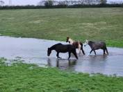 pension pr&eacute; &agrave; l&rsquo;ann&eacute;e &ndash; Edel&rsquo;Paradise (proche 79-85-17)