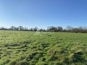 Propri&eacute;t&eacute; Herbag&egrave;re 54 hectares