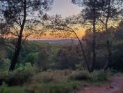 ? Vivez la magie de Broc&eacute;liande &agrave; cheval ! ?