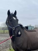 ⚠️⚠️⚠️Pilote sur les barres⚠️⚠️⚠️