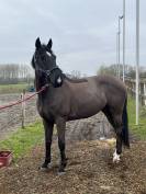 ⚠️⚠️⚠️Pilote sur les barres⚠️⚠️⚠️