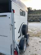 VAN cheval libert&eacute; gold 3