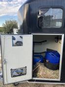 VAN cheval libert&eacute; gold 3