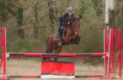 Poney C par champagne d&rsquo;Ar cus