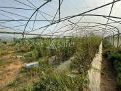 Azienda avicola In vendita Seine-et-Marne