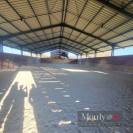 PROPRIETE EQUESTRE AVEC UNE BELLE MAISON CONTEMPORAINE 