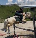 Ponette &agrave; vendre taille C Cso ou loisirs