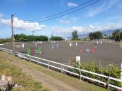 moniteur ou monitrice d'&eacute;quitation dipl&ocirc;m&eacute;(e)