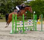 Vente cheval CSO Hunter