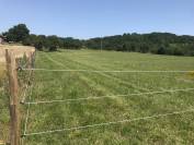 Pension chevaux loisir/retraite