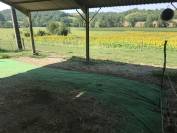 Pension chevaux loisir/retraite