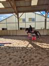 Ponette 19 ans - r&eacute;duction effectif 
