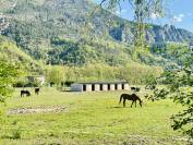 Propri&eacute;t&eacute; &eacute;questre 7 ha plats &ndash; Villa + appartement &ndash; 1