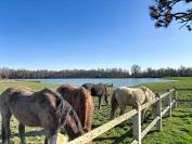 Domaine d'exception de 35 hectares (01)