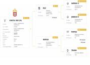 Magnifique pouliche lusitanienne 