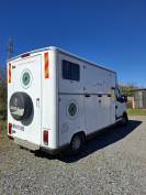 AV Camion chevaux vl Renault Master