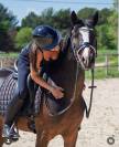 Super ponette de dressage ou CCE 5 ans