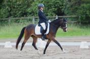 Super ponette de dressage ou CCE 5 ans