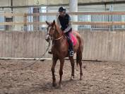 Recherche apprentissage TP RPMS