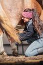 Shiatsu &eacute;quin Bourgogne- Auvergne