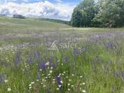 Tr&egrave;s belle propri&eacute;t&eacute; avec g&icirc;te, sur 54ha diversifi&eacute;s, avec