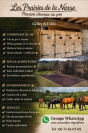 Pension cheval Les prairies de la Narse
