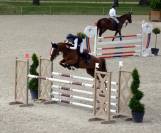 Jument SF 9 ans CSO 135cm