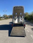 Van cheval libert&eacute; 1,5 