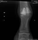 Hongre Rheinland 6 ans dressage