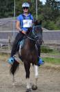 Gelding Arabian Half Blood For sale 2017 Tobiano