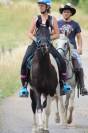 Gelding Arabian Half Blood For sale 2017 Tobiano