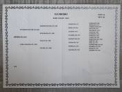 Gelding Arabian Half Blood For sale 2017 Tobiano