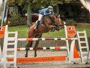 Jument de concours de 9 ans 