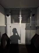 Camion chevaux TOP affaire