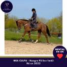 4 ans top mental et locoomotion plaisante